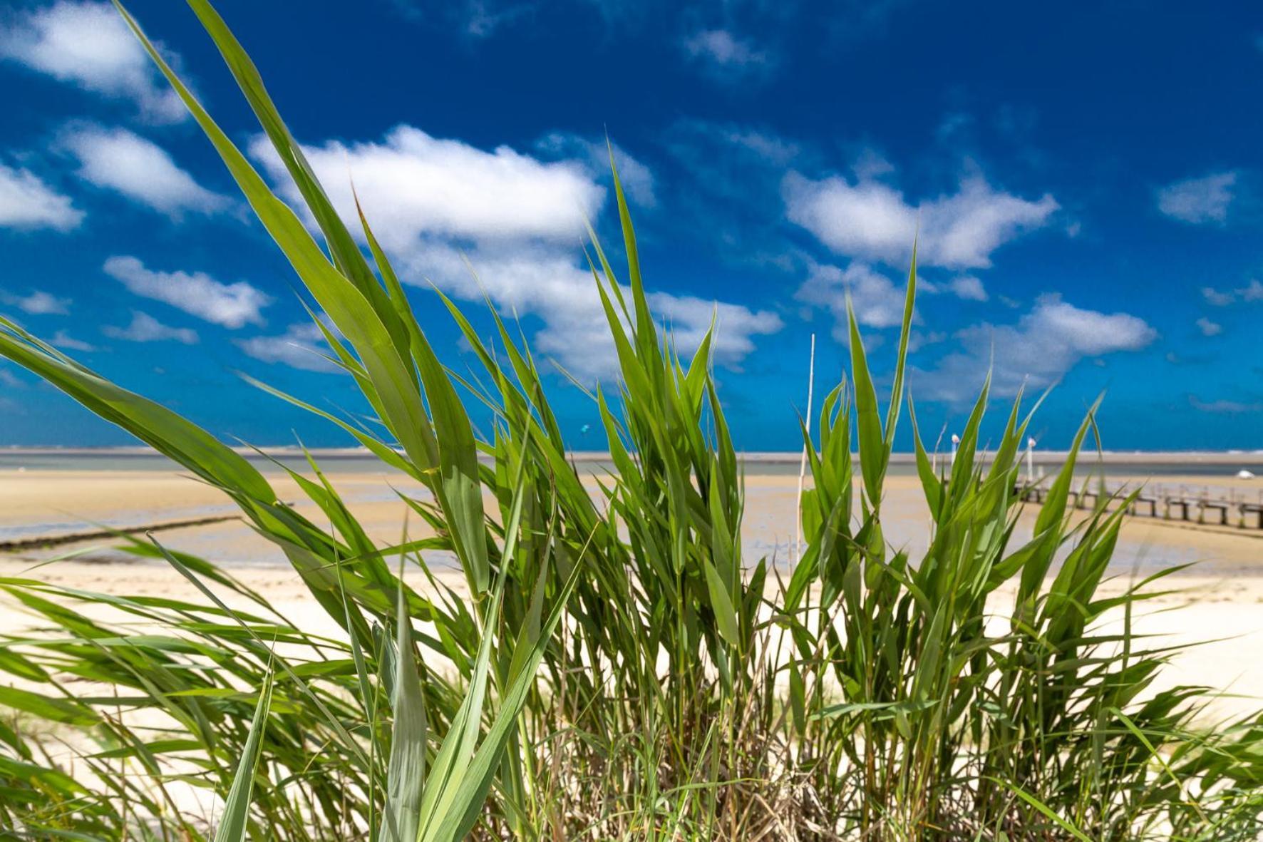 Wohnen Am Südstrand - 0 1 *
