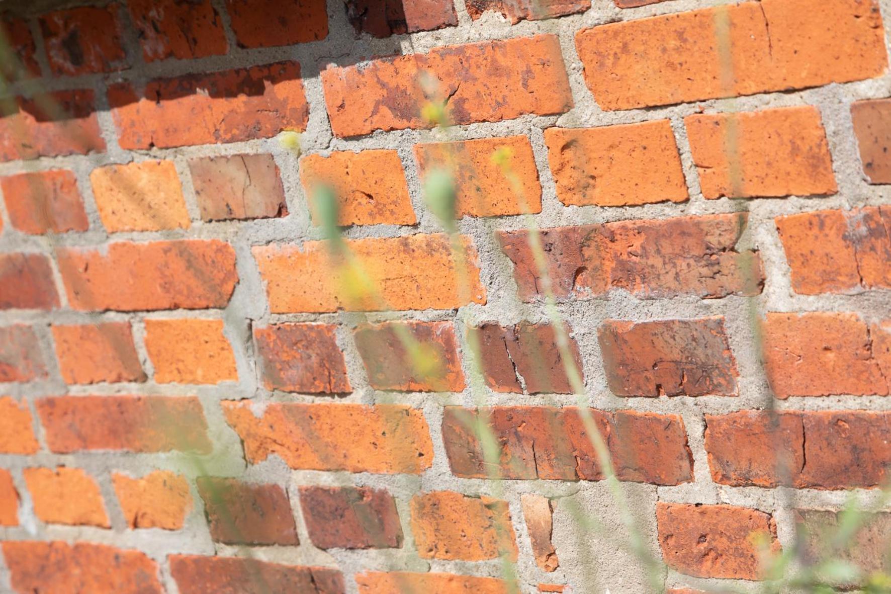 Wohnen Am Südstrand - 0 1 Apartment Wyk auf Föhr